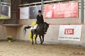 29-ApHC OHUS_008